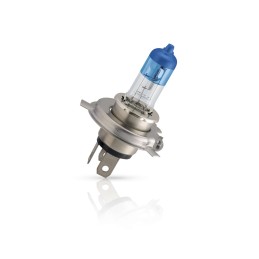 Philips H1 WhiteVision 12V55W P14,5s B1 &