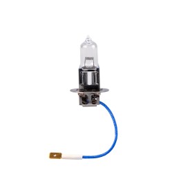 Powertec Long Life H3 24V DUO
                                                                  